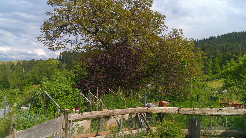 Ländliche Garten- und Landschaftsansicht