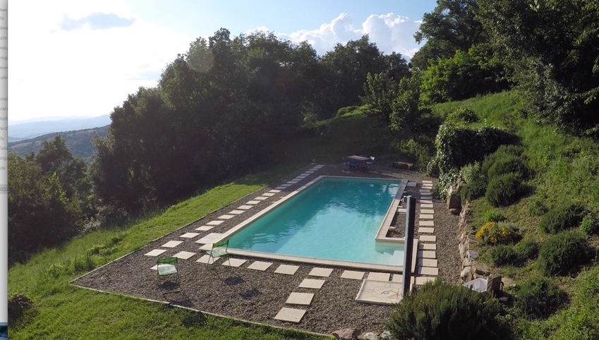 Pool im Garten mit Hanglage
