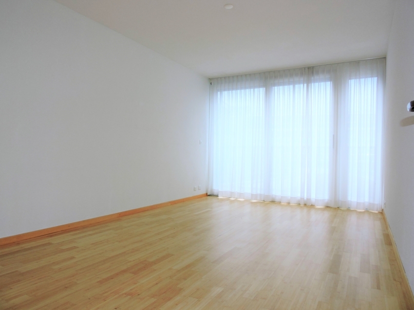 Heller leerer Wohnraum mit großem Fenster