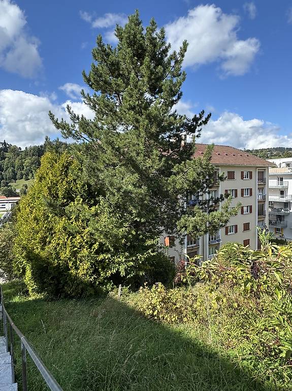 Blick auf Garten und Wohngebäude