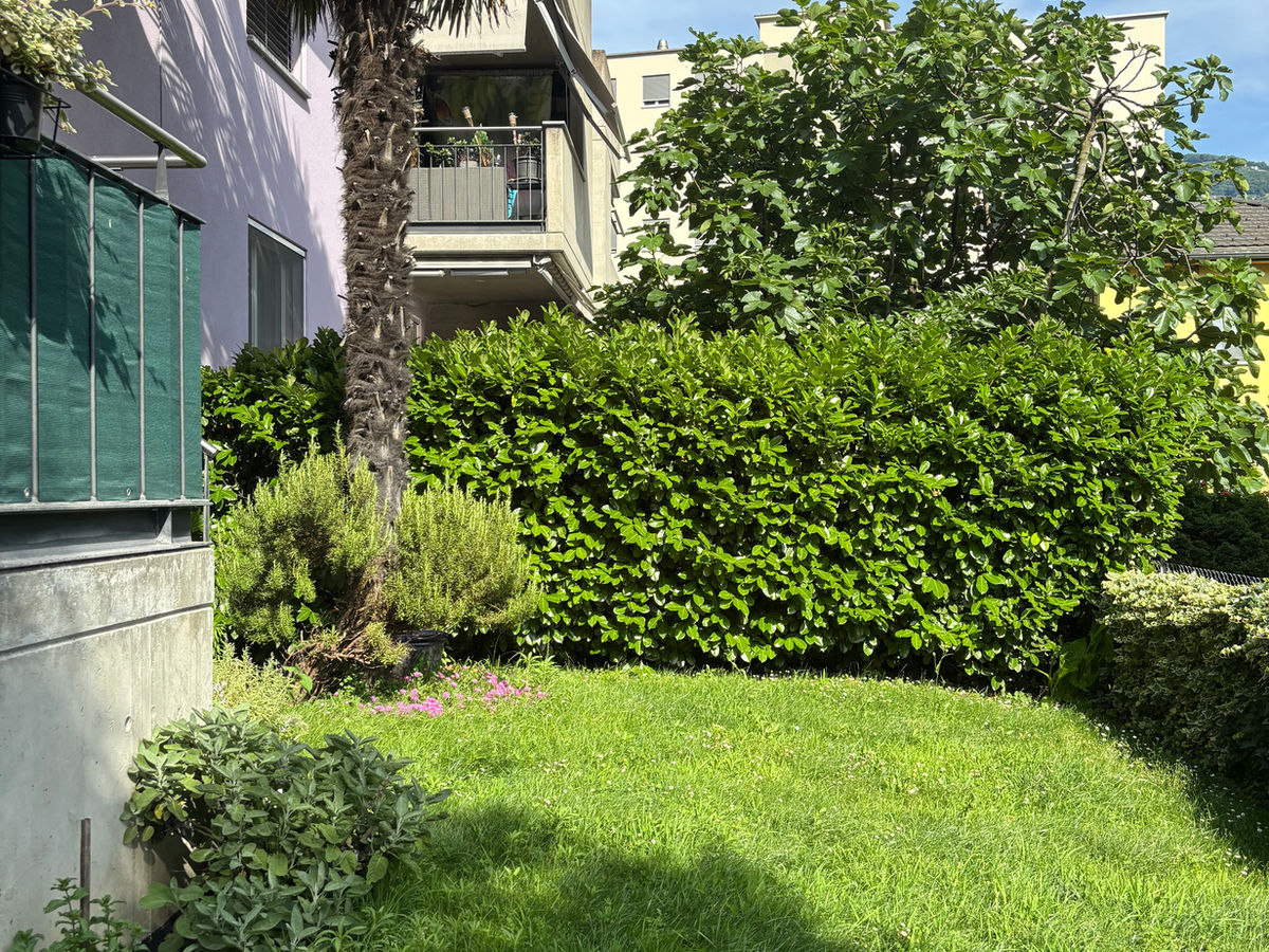 Garten mit angrenzenden Wohngebäuden