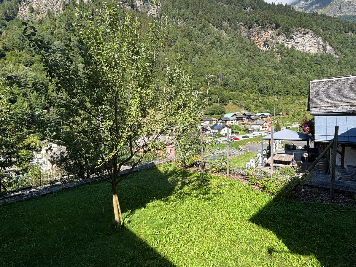 Garten mit Bergblick
