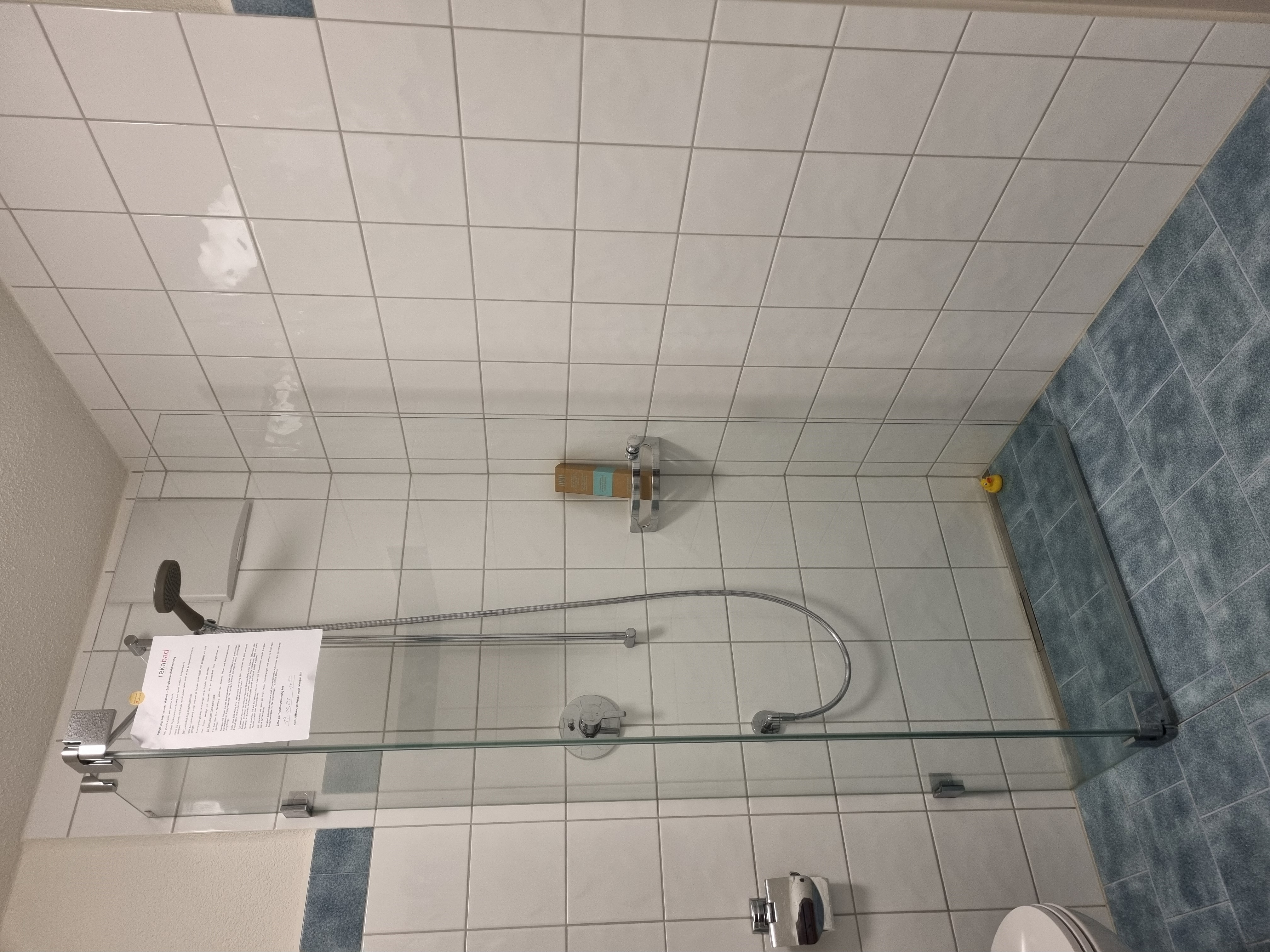 Badezimmer mit Glasdusche