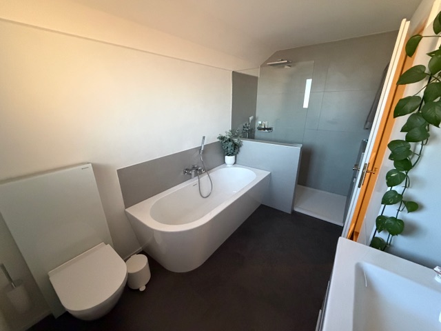 Modernes Badezimmer mit Wanne und Walk-in-Dusche