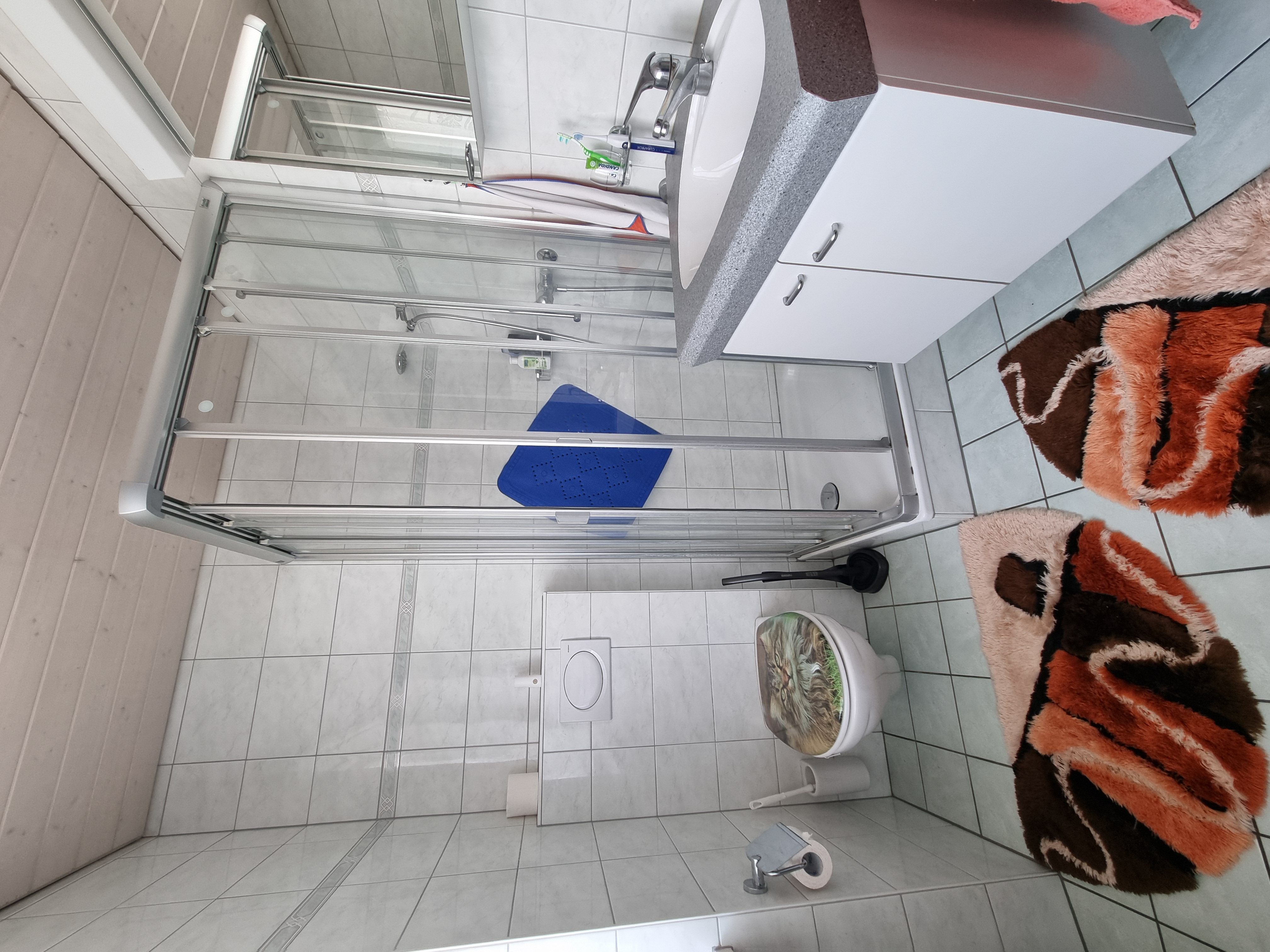 Modernes Badezimmer mit Dusche und WC