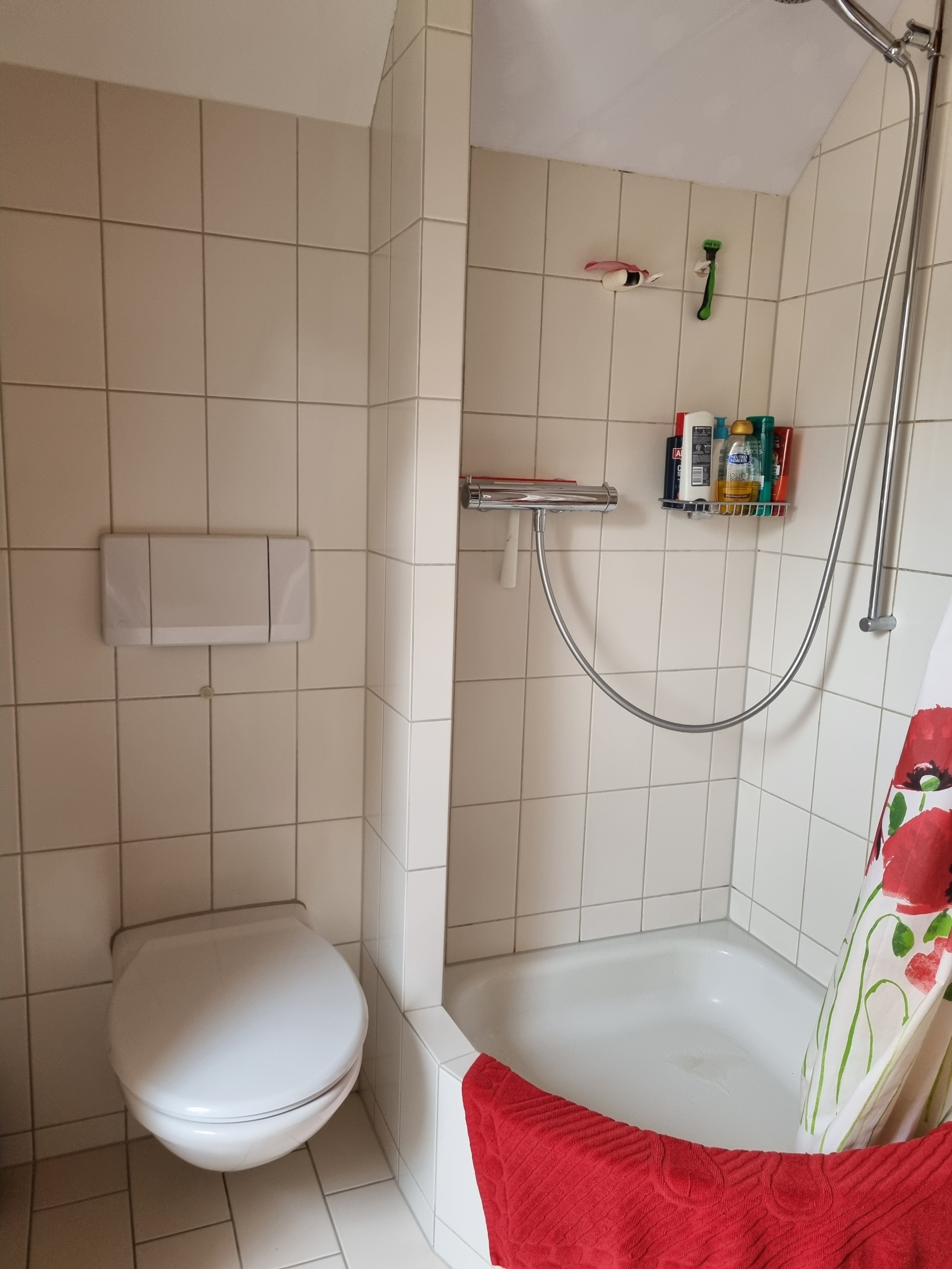 Badezimmer mit Dusche und WC