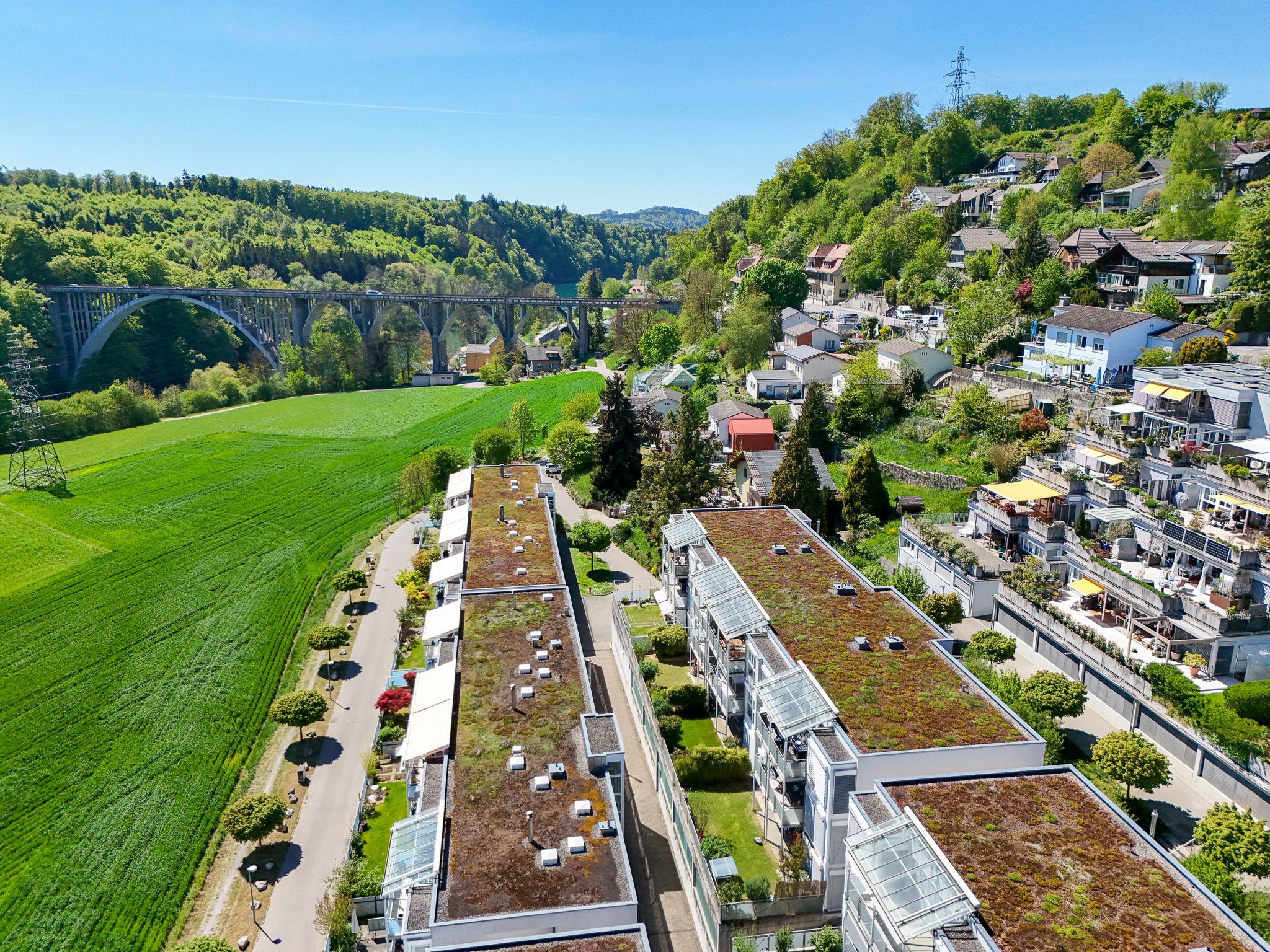 Luftaufnahme eines grünen Flusstals mit Wohnsiedlung