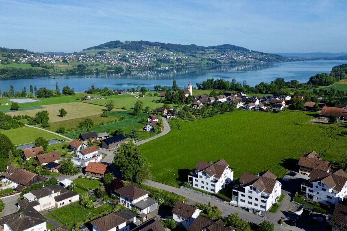 Luftaufnahme einer grünen Landschaft am See