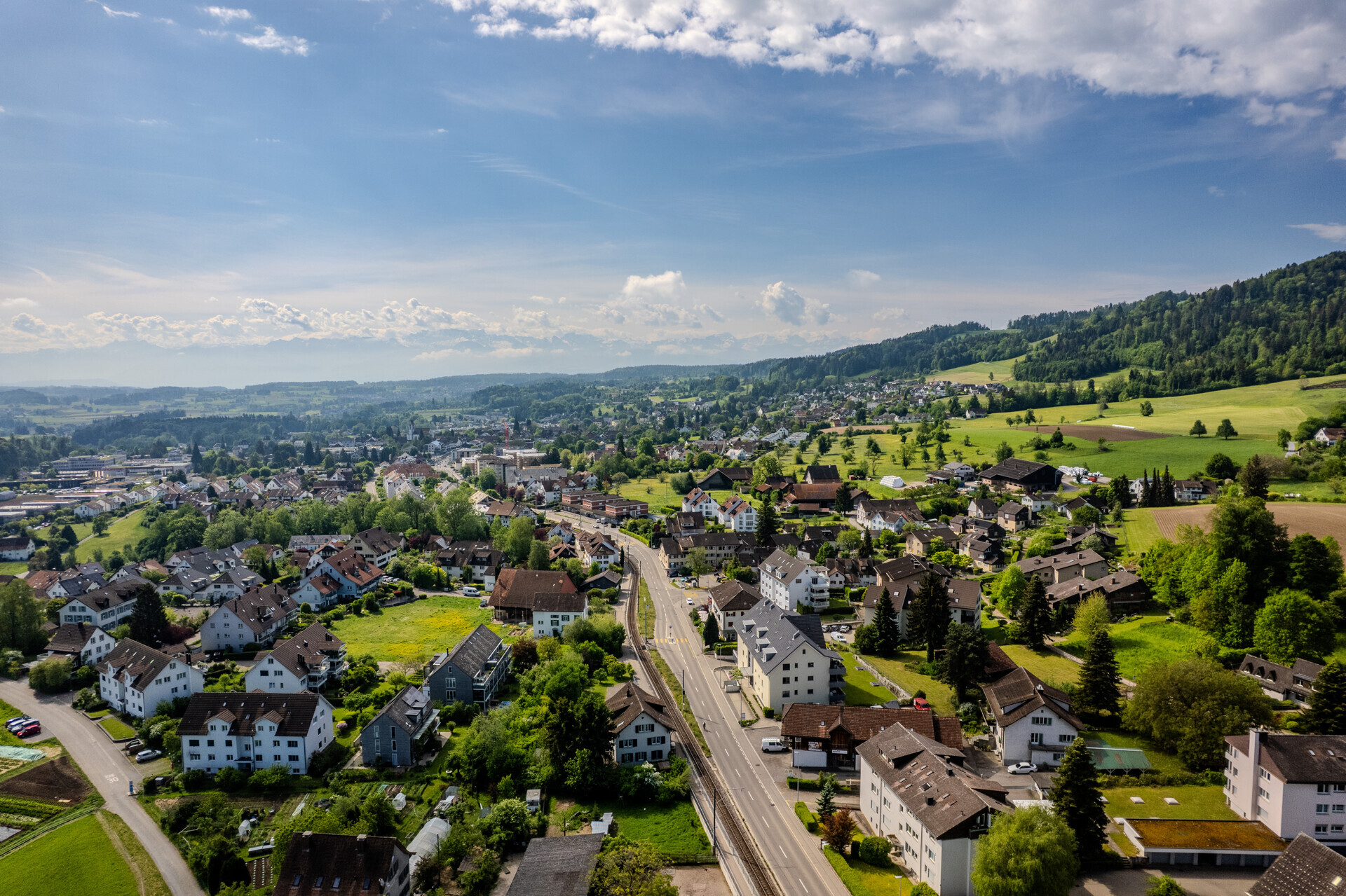 Luftaufnahme einer grünen Vorstadt mit Bergen im Hintergrund