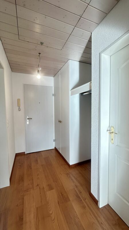 Heller Flur mit Garderobenschrank und weißer Tür