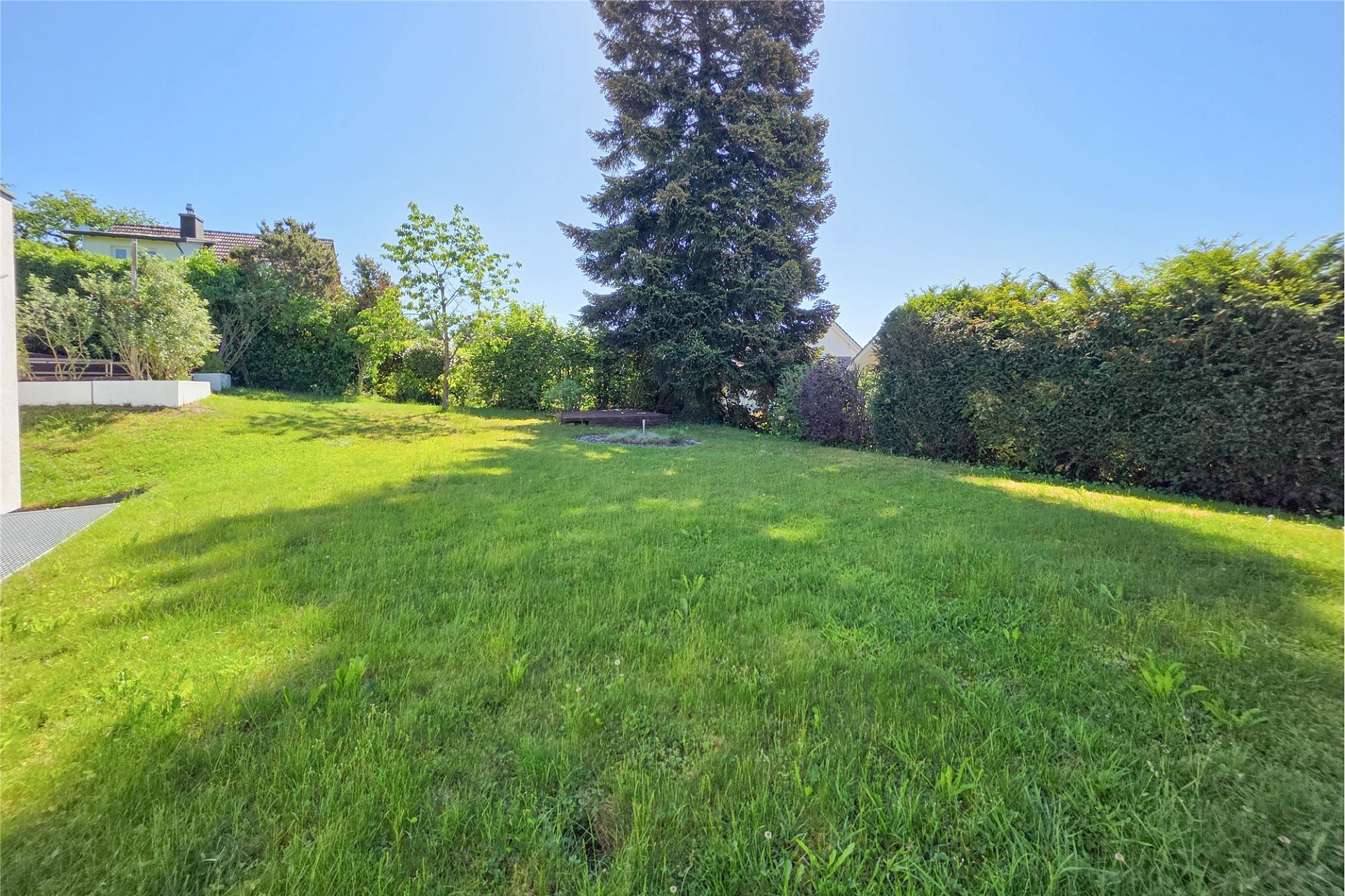 Großer grüner Garten