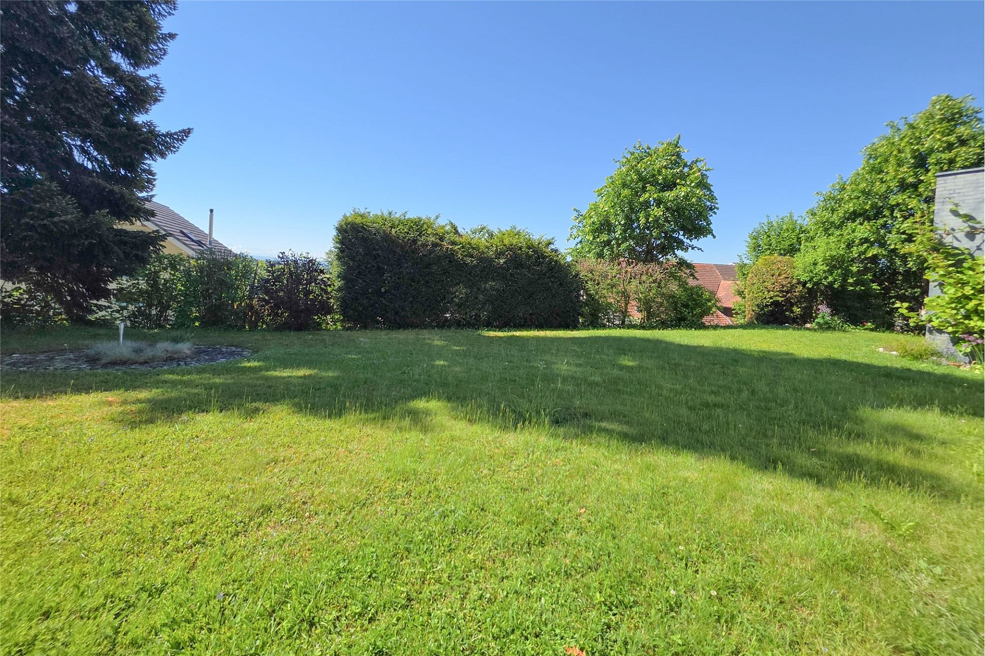 Großer grüner Garten