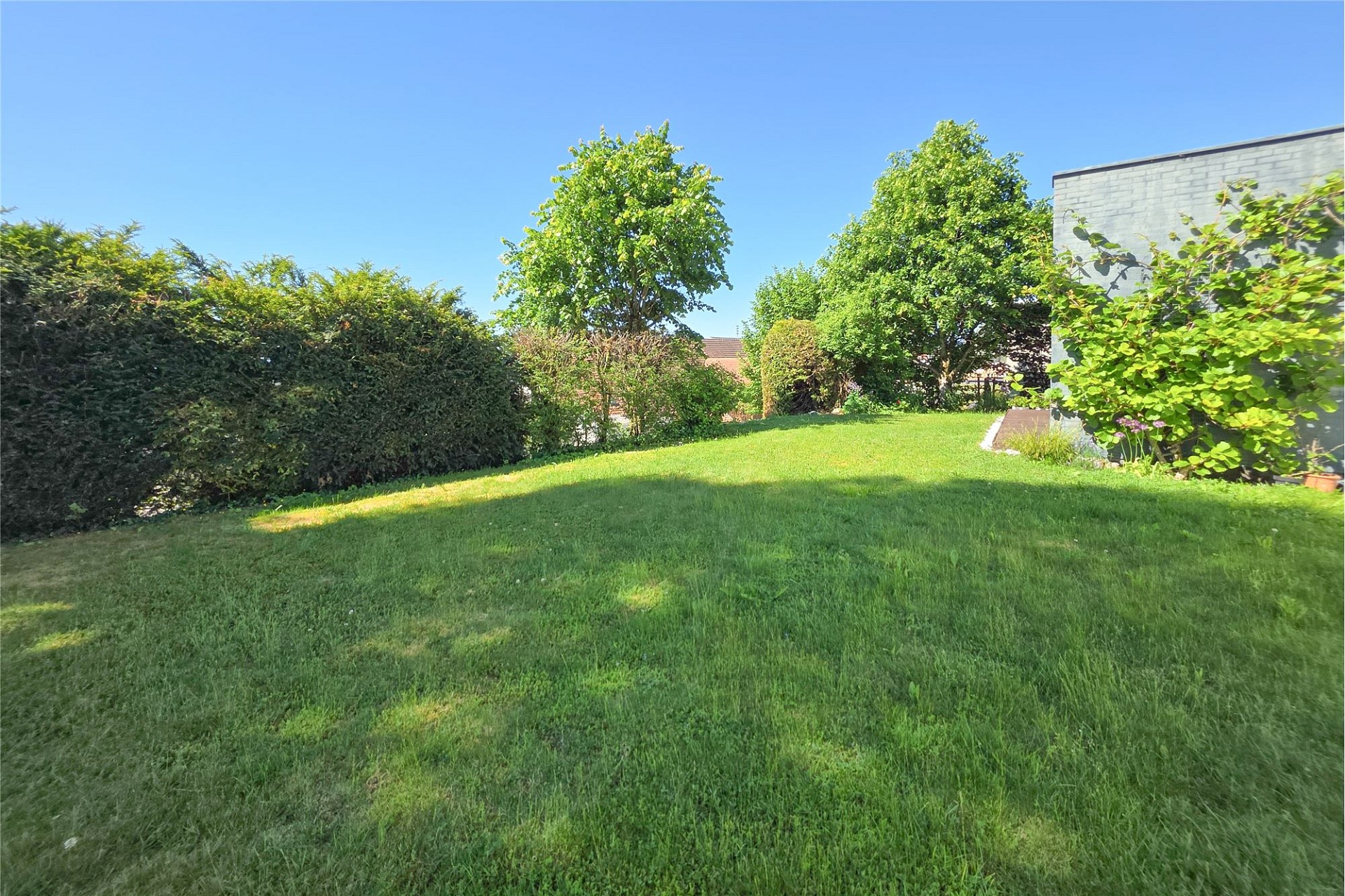 Grüner Garten mit Rasen