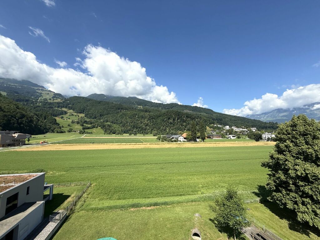 Landschaftsblick mit Bergen und Feldern