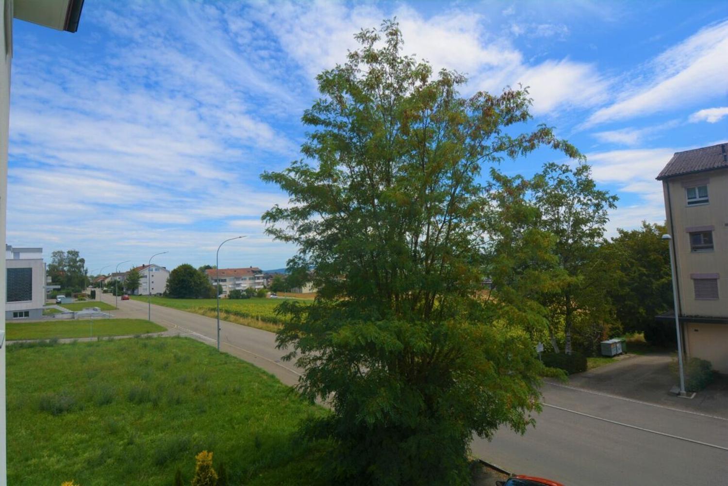 Blick auf Wohnstraße und Grünflächen