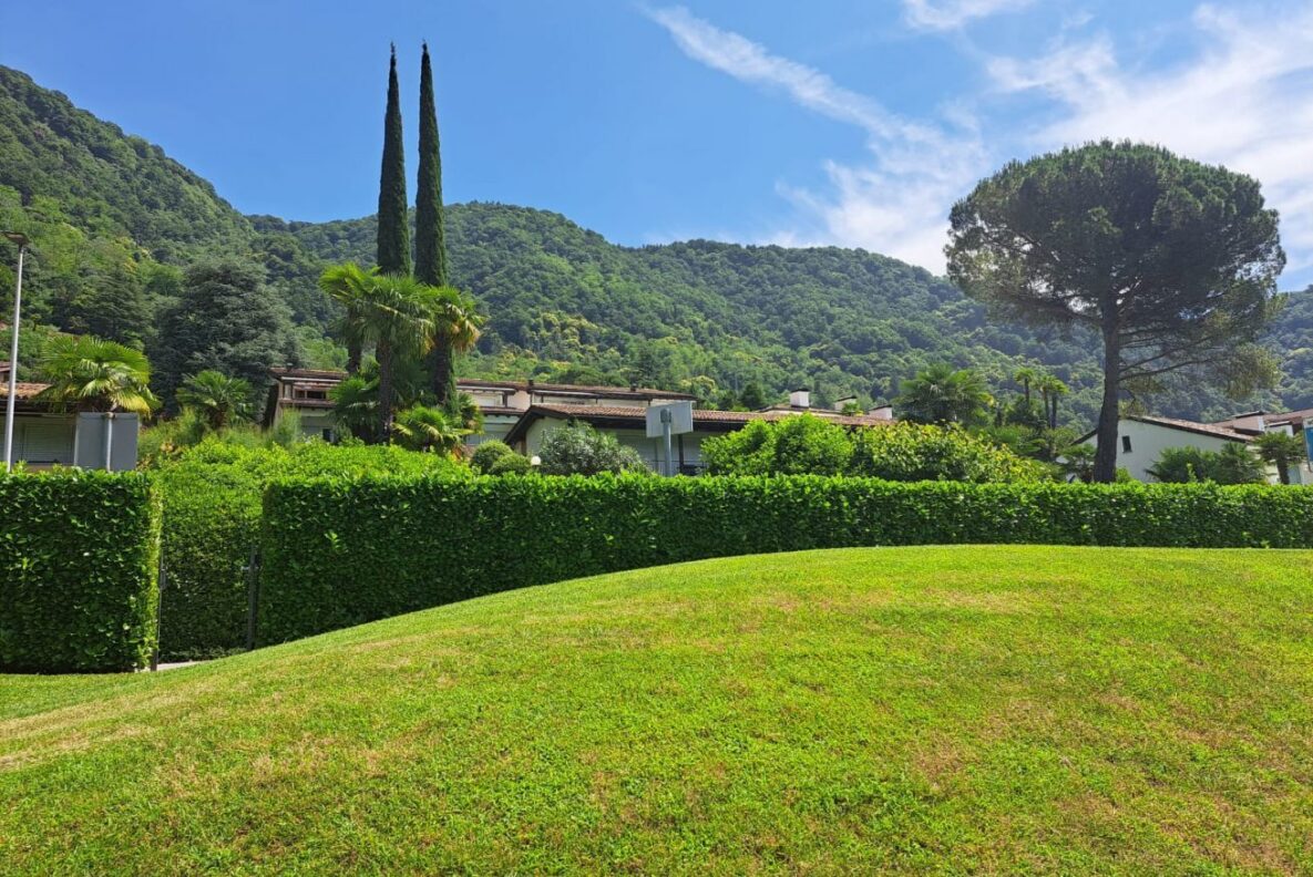 Gartenblick mit Bergen