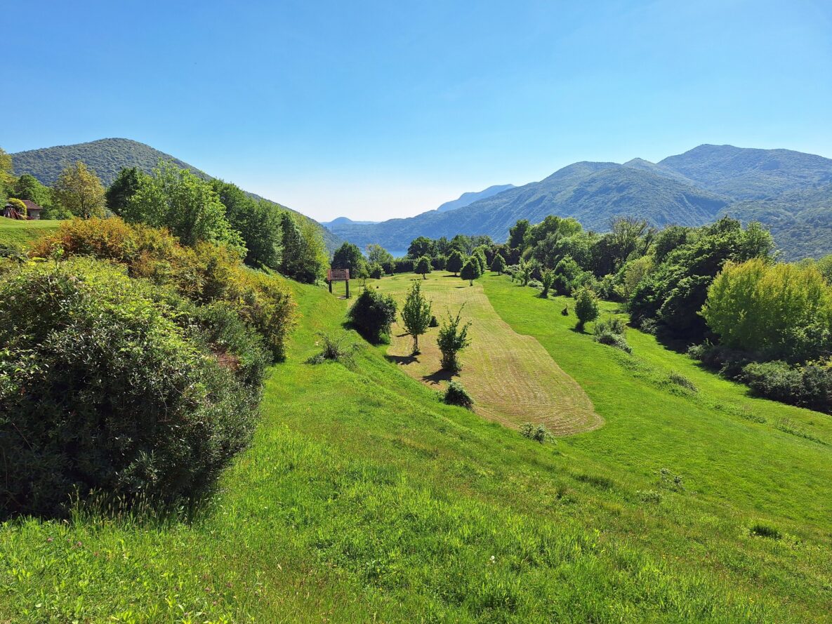 Weite Grünlandschaft mit Bergpanorama