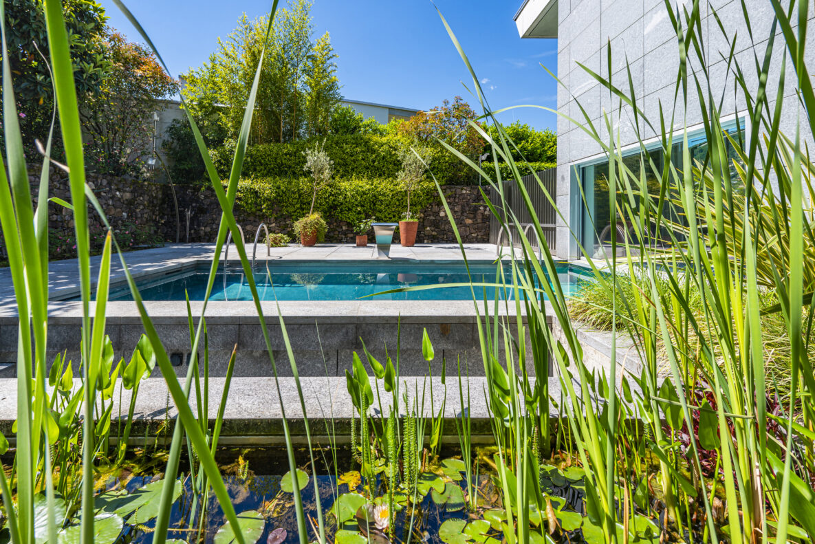 Garten mit Pool