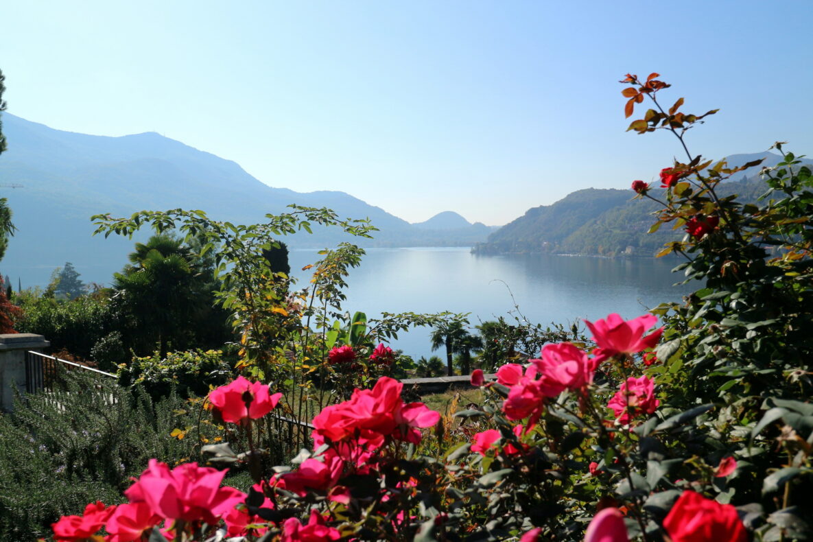 Garten mit Seeblick