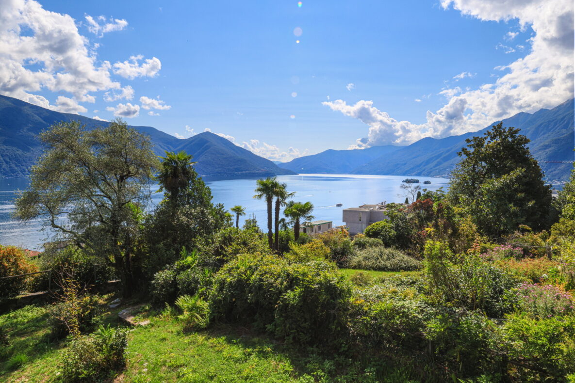 Seeblick mit Garten und Bergen