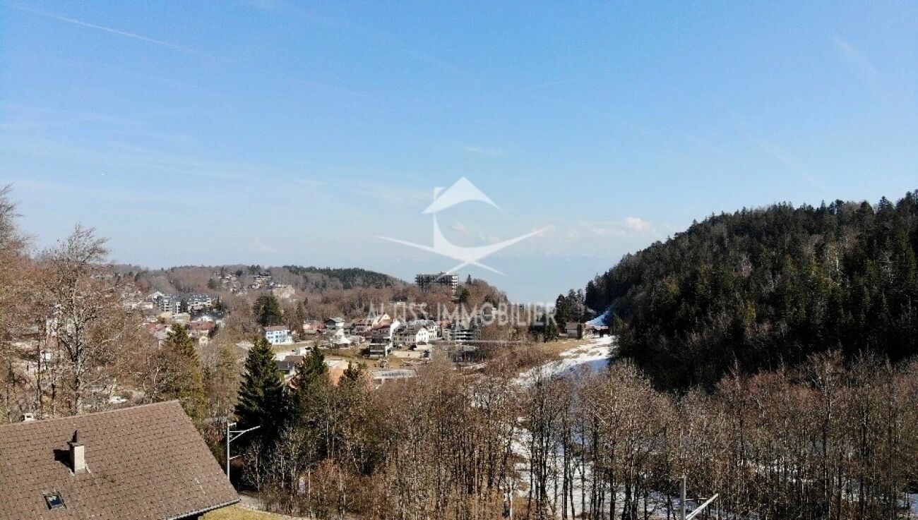 Landschafts- und Ortsblick mit Waldhang