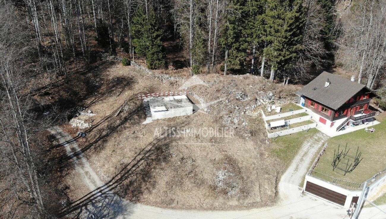 Luftaufnahme eines Hauses im Waldgrundstück