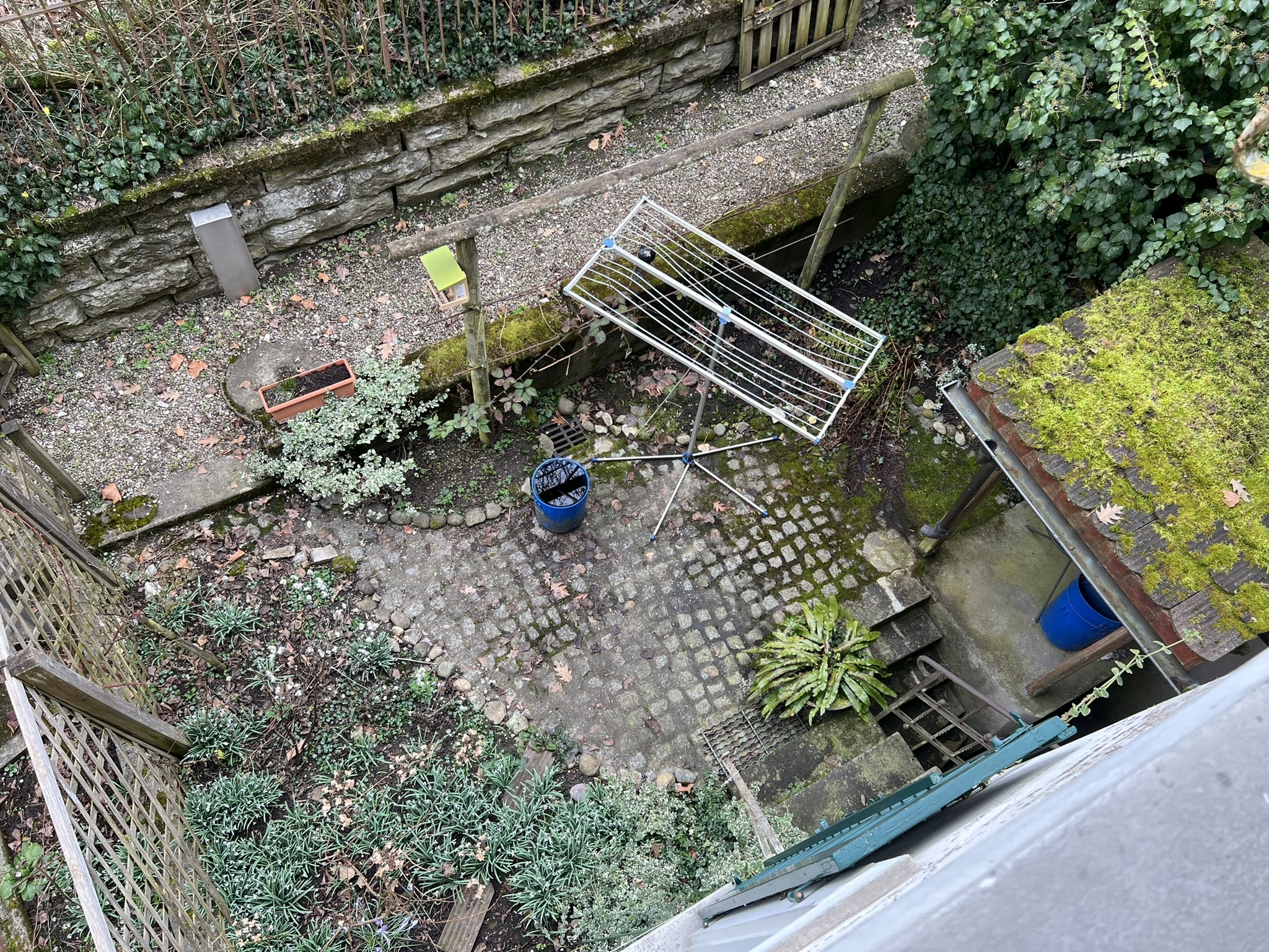Blick in einen verwilderten Innenhof/Garten