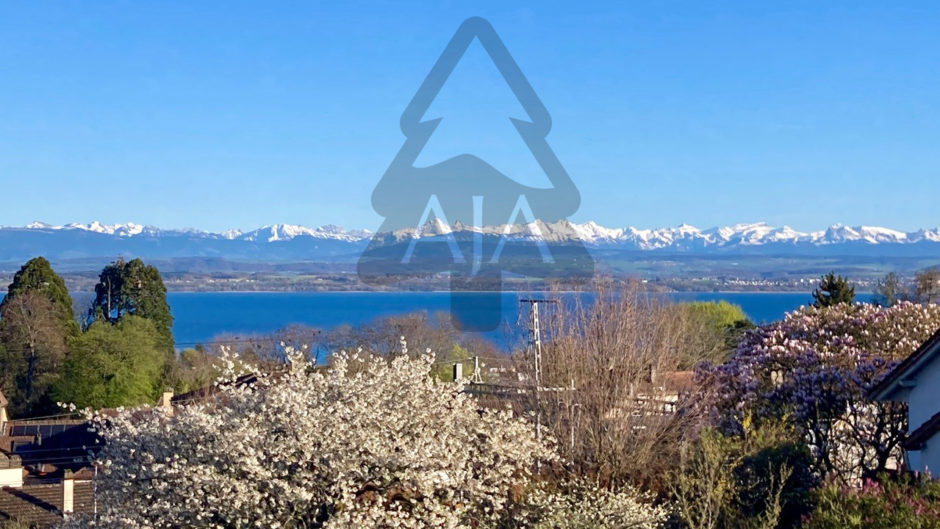 Seeblick mit Bergpanorama