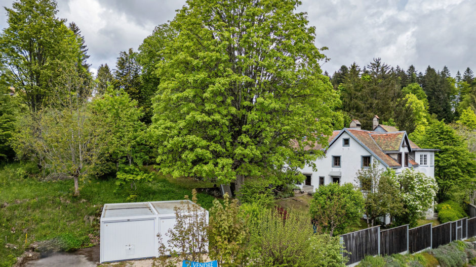 Landhaus in grüner Hanglage