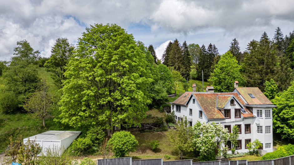 Historisches Haus im Grünen