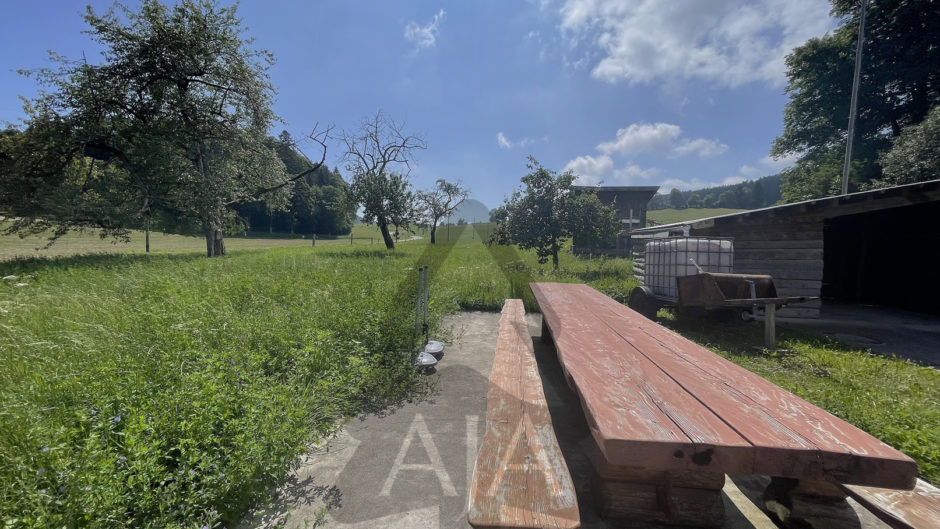 Ländlicher Außenbereich mit Picknicktisch