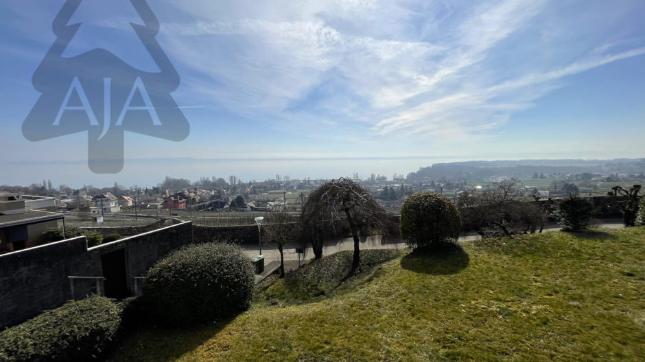 Weitläufiger Ausblick über Garten und Stadt
