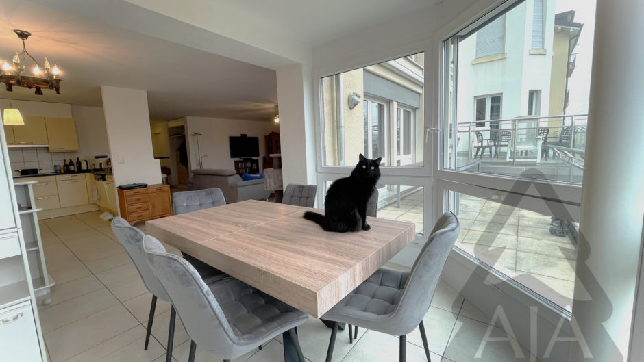 Essbereich mit großem Fenster und schwarzer Katze