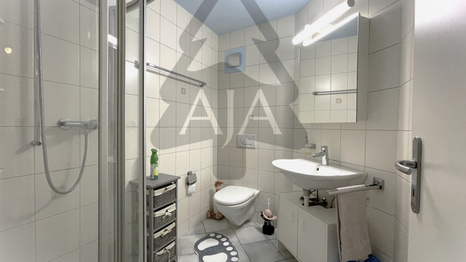 Kleines modernes Badezimmer mit Dusche und Waschtisch