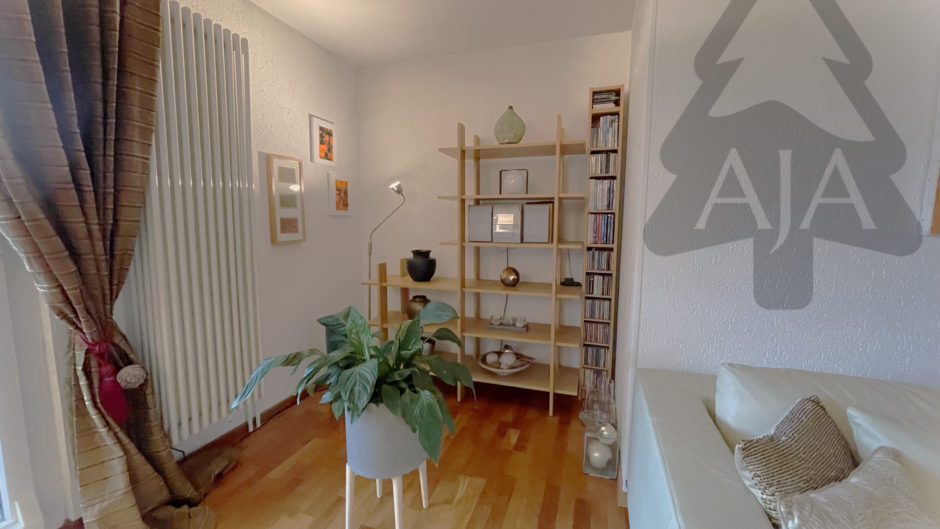 Gemütliche Wohnzimmerecke mit Regal und Pflanze