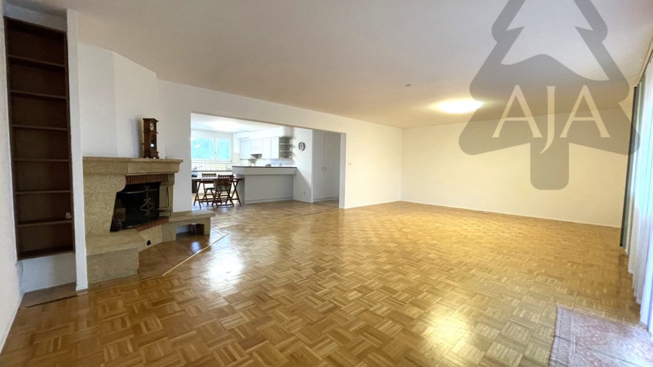 Großer Wohnraum mit Kamin und offener Küche