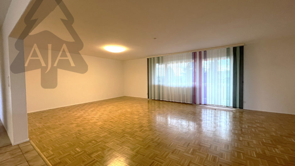 Großer leerer Wohnraum mit Fensterfront