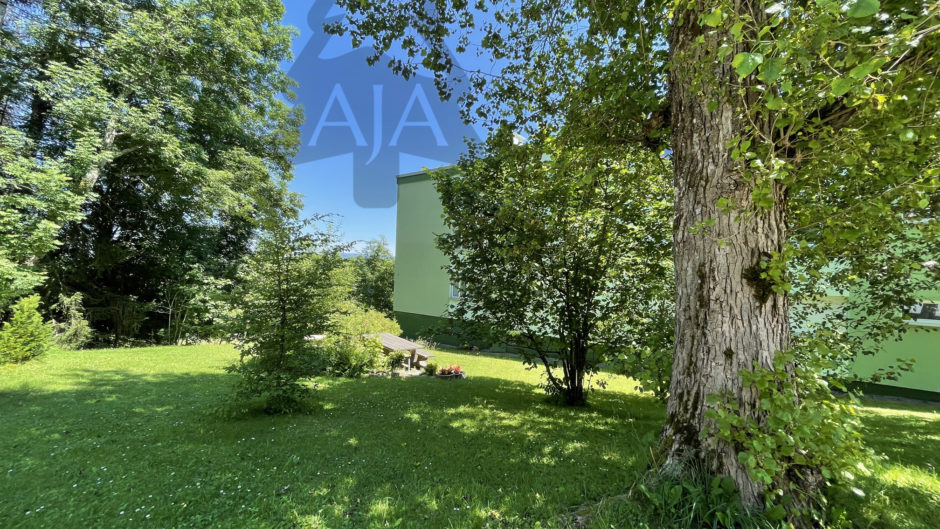 Garten mit großem Baum und Rasenfläche