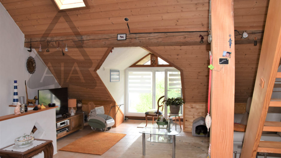 Gemütlicher Wohnraum mit Holzverkleidung und Galerie