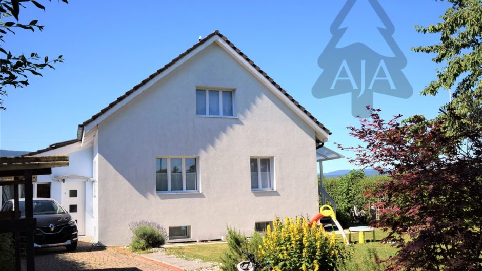 Einfamilienhaus mit Garten
