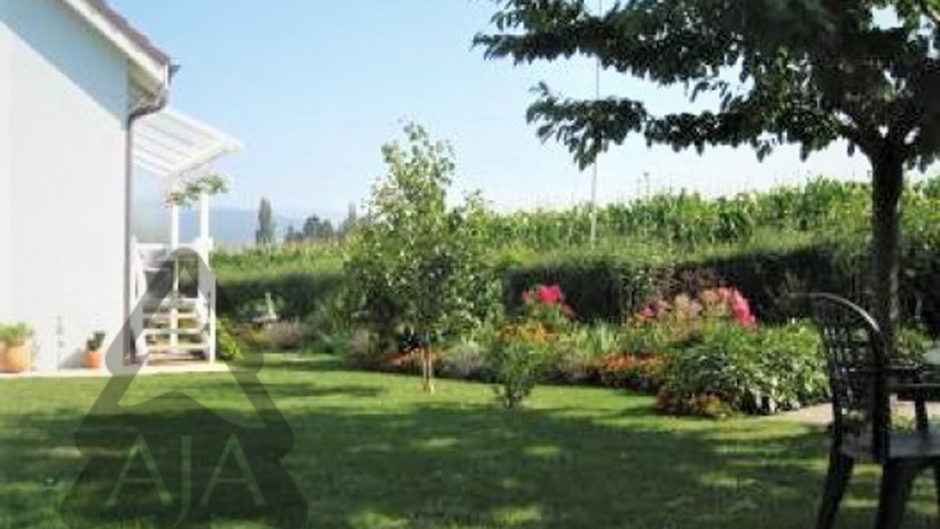 Garten mit Hausansicht
