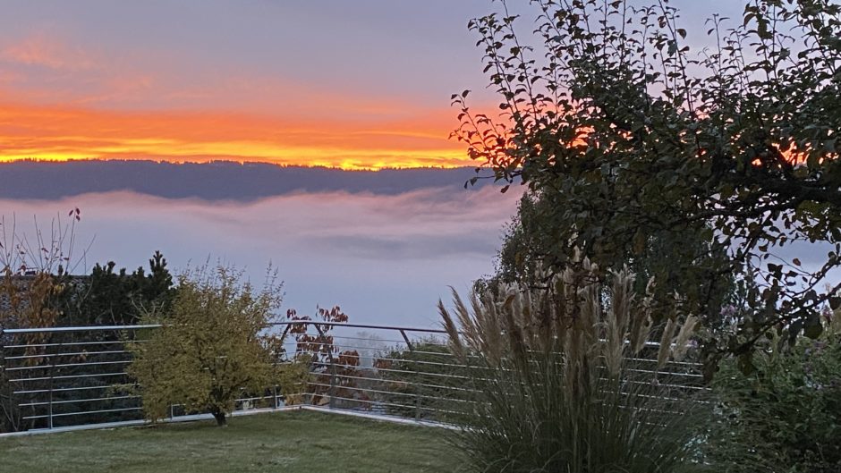 Garten mit Sonnenuntergang und Nebelblick