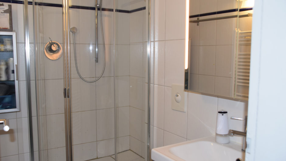 Badezimmer mit Dusche und Waschbecken