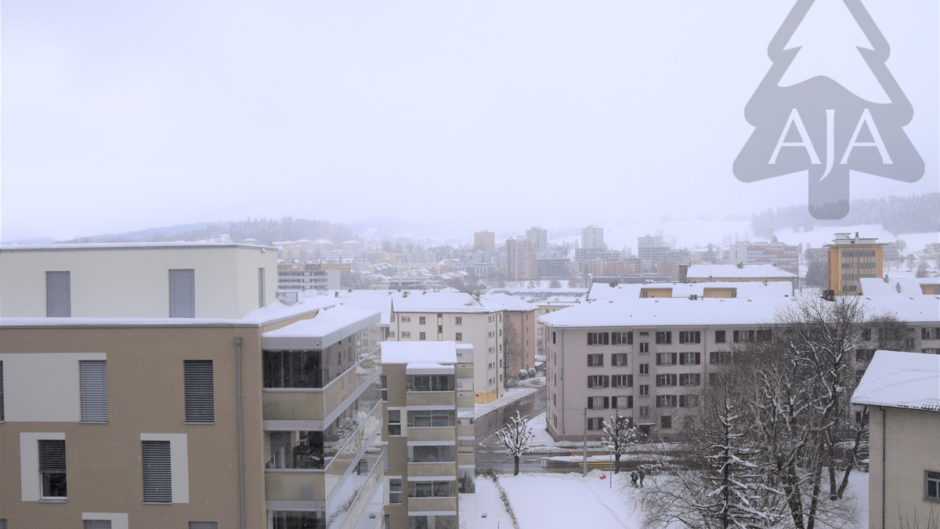 Schneebedeckte Stadtansicht