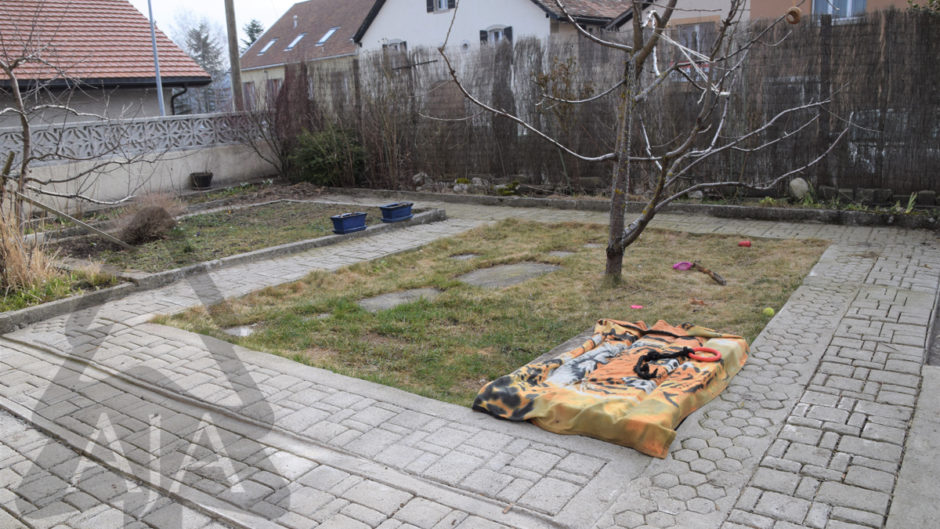 Garten mit gepflastertem Weg und Baum
