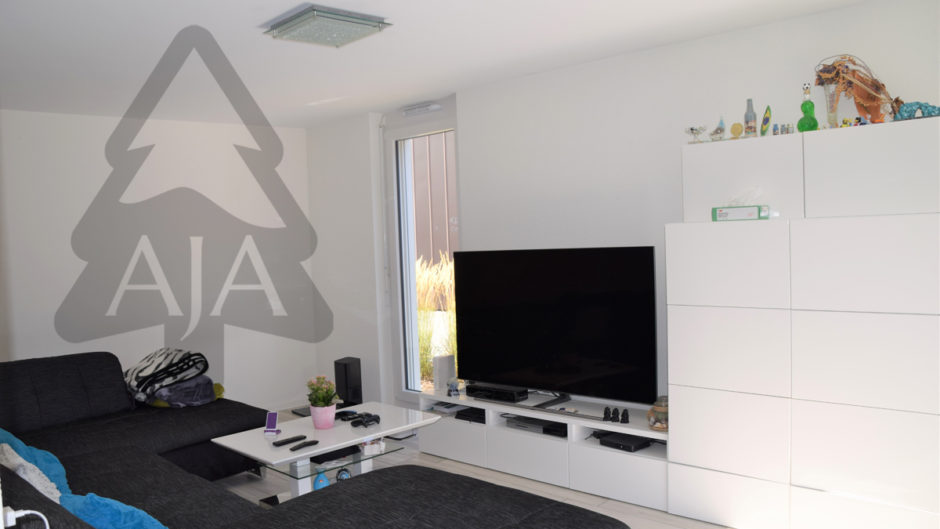 Modernes Wohnzimmer mit TV-Wand und Sofa