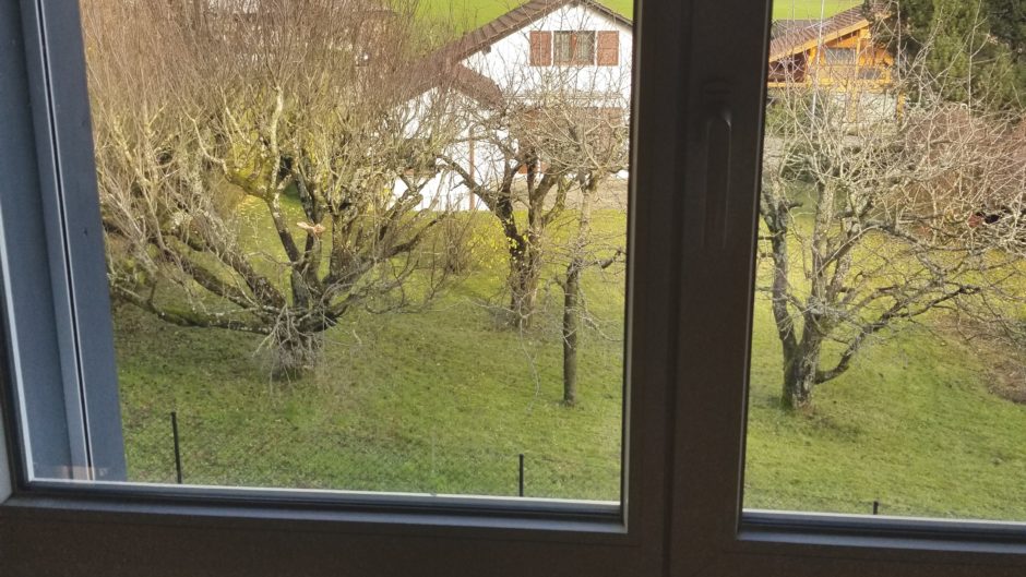 Blick durch ein Fenster auf einen grünen Garten