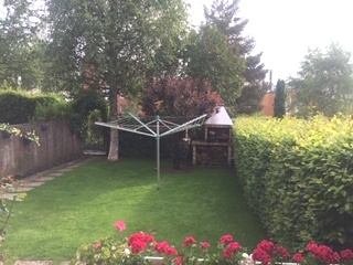 Garten mit Rasen und Wäscheleine