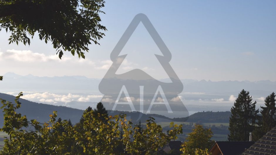 Landschafts- und Bergblick mit Bäumen im Vordergrund