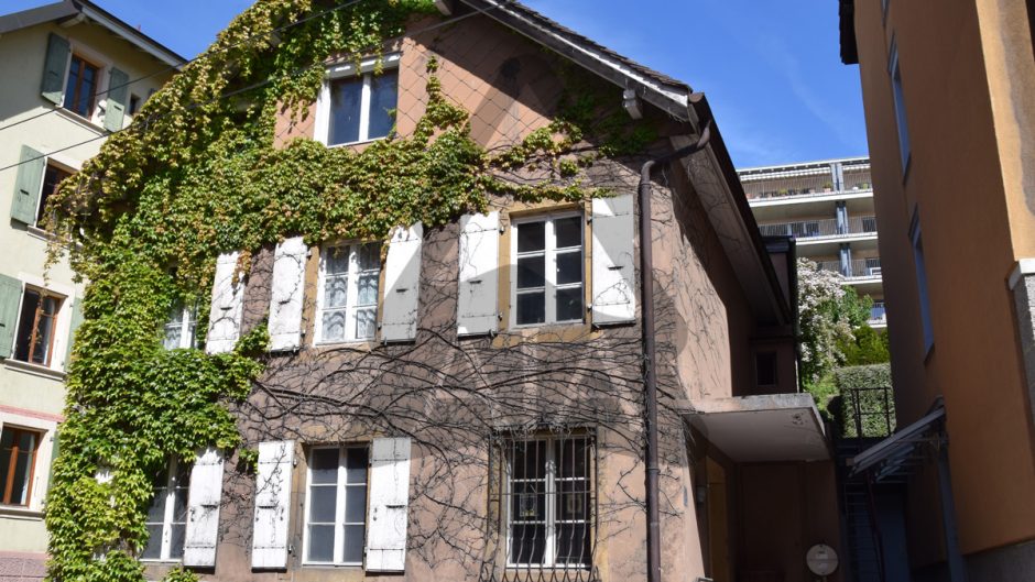 Historisches Wohnhaus mit Efeufassade
